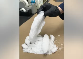 “경찰 함정수사 실패” 마약딜러에게 경찰 소유 20만달러 필로폰 빼앗겨