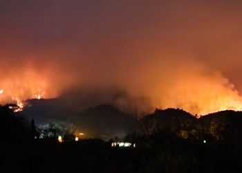 식목일 앞두고 초대형산불…축구장 875개 산림 초토화