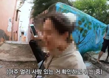 “실실 웃으며 바지를” 인도서 한국 여성 성추행