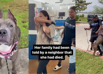 잃어버린  반려견, 페이스북서 10개월만에 찾아