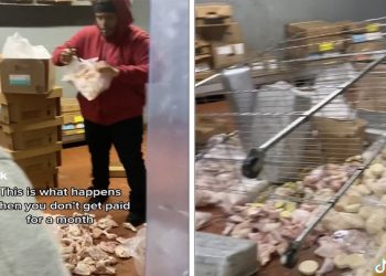 “내 돈 내놔” 월급 밀린 파파이스 직원, 매장서 난동(영상)