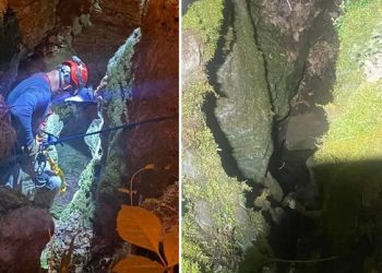 ‘무보수’ 소방대, 15m 추락한 사냥개 구해..미 소방관 70% 무보수