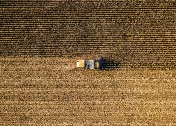 “우크라, 올해 곡물 수확 최대 50% 급감할 수도”