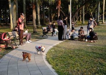 LA선 개도 마약 피하기 힘들어..산책 갔다 ‘시름시름’