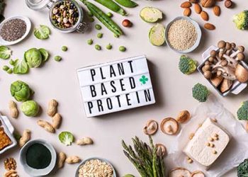 비건들이 사랑하는 대체육류 소비 크게 확산