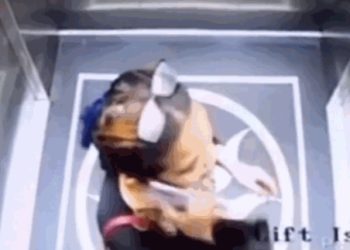 엘리베이터 문 강제로 열려다 추락사(영상)