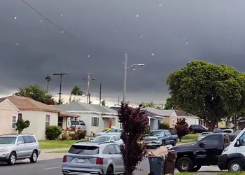 LA서 또 토네이도..시속 75마일 강타(영상)