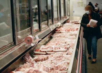 세계식량가격 13개월 만에 상승…설탕 11년6개월 만에 최대↑