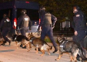 세르비아서 또 총기난사, 최소 35명 죽거나 다쳐(영상)