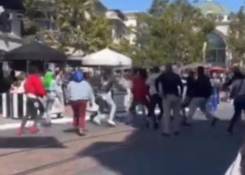 일요일 대낮 3가 그로브몰서 난투극 벌어져 (영상)