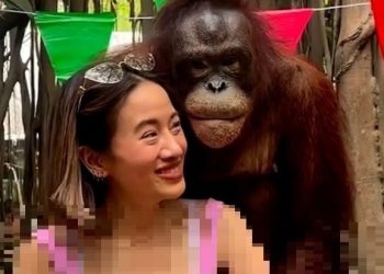 ‘오랑우탄 아닐지도 몰라’…여성에 키스하고 ‘씨익’