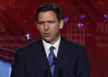 대선 출마 선언 디샌티스, 기댈 곳은 일론 머스크(영상)