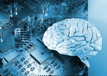 FDA, ‘인간뇌 칩 이식’ 뇌임플란트 임상시험 승인