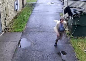 사람도 곰도 ‘기겁‘…쓰레기통 나오다 딱 마주쳐(영상)