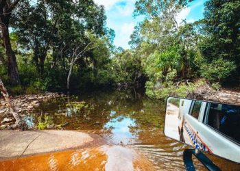 낚시 도중 실종 남성, 악어 뱃속에서 발견돼