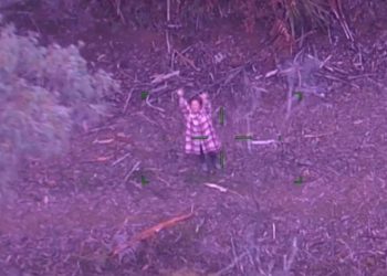 숲속서 고립 여성, 포도주로 닷새 버티다 구조