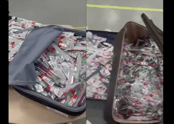 “‘프루트롤업’ 젤리 뭐라고” 틱톡 인기, 밀수까지