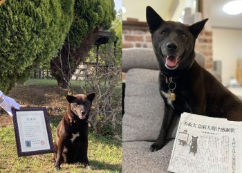 심장마비 남성 구한 강아지에 소방서 감사장