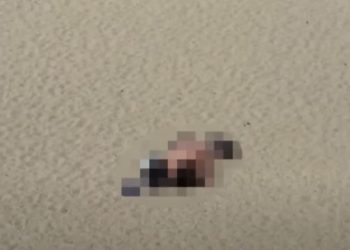 강원도 해변은 누드비치…”한 사람인 줄”