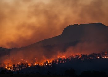 올 여름 역대급 기상이변 온다…슈퍼 엘니뇨 예고