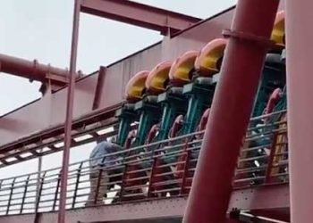 넛츠베리팜 롤러코스터 멈춰서 아찔(영상)