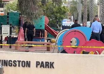 롱비치 거리서 드라이버로 행인 5명 공격