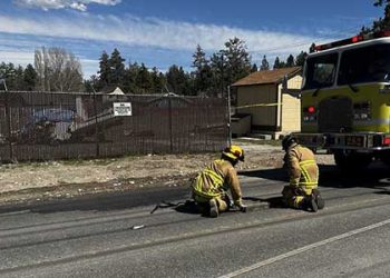 빅베어서 경비행기 추락 3명 사망