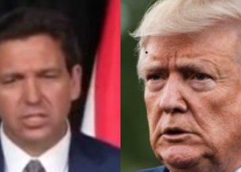 트럼프와 ‘리틀 트럼프’, 정책 차별성 있나