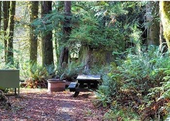 CA캠핑장 예약 쉬워진다..장기캠핑 제한, 노쇼 제재 법안 통과