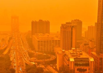 “아포칼립스 영화” 뉴욕 주황빛…통제불능 캐나다 산불, 동부 초비상(영상)