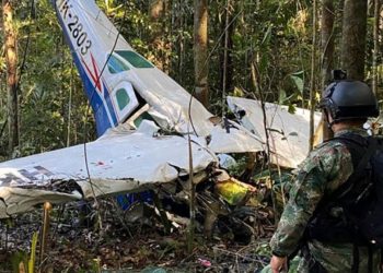 아마존의 기적…항공기 추락 40일만에 생환