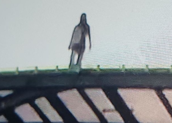 방음터널 위 “외계인이다” “귀신이다” 정체는?