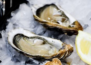 FDA, 한국산 생굴 판매금지, 폐기권고…미 곳곳서 식중독 증상