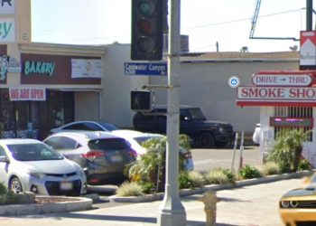 밸리 글렌 지역 상가서 총격 사건.. 최소 3명 사상자