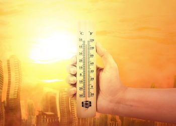 텍사스주 등서 14명 폭염 사망…남동부까지 위협