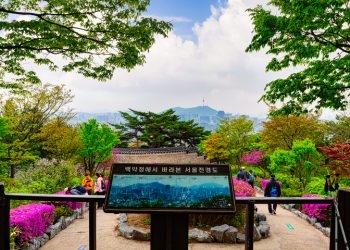 국왕의 행차부터 대통령의 산책까지…청와대 관광코스 10선