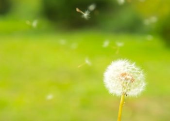 가렵고 붓고, 혹시 알레르기?…의심들면 ‘이 검사’