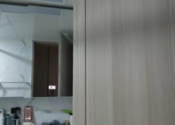 한국 유명 여성 유튜버, 방송 중 자살 시도..뇌사