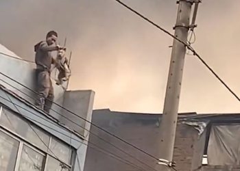 불길 속 옥상 올라가, 개 25마리 구출(영상)