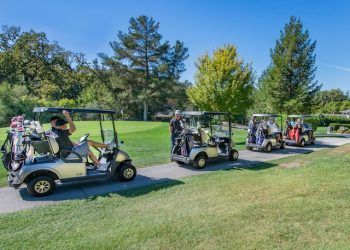 골프장 카트 넘어져 뇌사..캐디는 극단선택