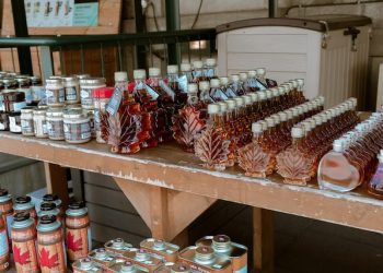 30대 한인, 7000명분 마약 미국서 한국으로 밀반입..메이플시럽에 감춰