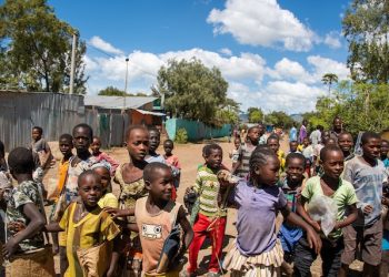 식량지원 중단하자 티그라이 728명 기아로 숨져