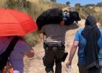 [화제] 셰리프 경관, 개 들처 업은 채 탈수증 등산객들 모두 구조