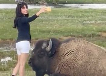 목숨 건 아찔한 셀카..이 여성의 최후는?(영상)