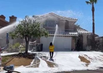 집 앞마당서 수 만마리 벌 떼 공격…집 전체 거품 소독