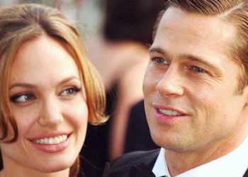 브래드 피트 “졸리, 포도밭 매각으로 보복했다”