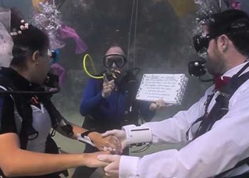 [트렌드]”결혼식 대신 스몰이벤트” 변화 추세.. LA웨딩에 3만1천달러