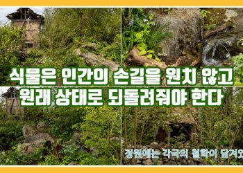 달라도 너무 다른 한중일 정원의 철학..한국 정원은 왜 위대한가