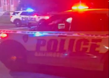 블록파티서 총기난사…4명 사망, 30명 총상(영상)