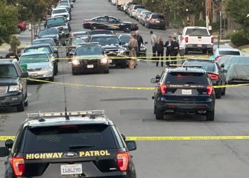 독립기념일 연휴 캘리포니아 프리웨이서만 68명 사망